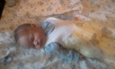 Мария Григорьева (Кошка) | Санкт-Петербург