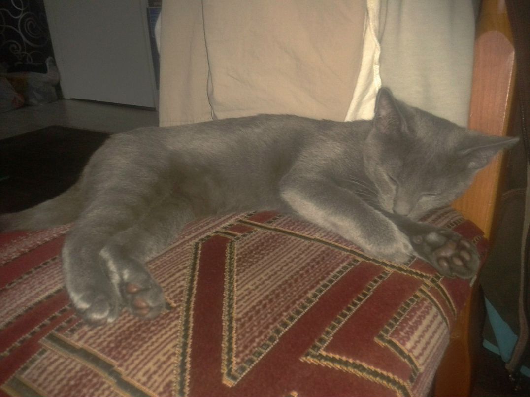 Даша Василец Dadla | Praha