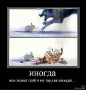 Фотография Анна Скорынина-Коваль