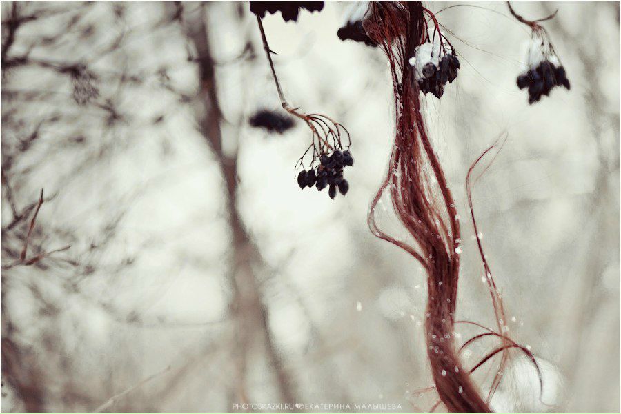 Альфия Елагина | 