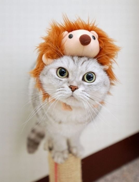 Anastasia Yurchenko | Томск