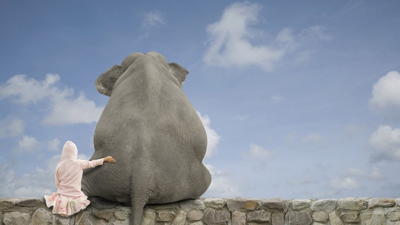 Ильфат Галиев | Москва