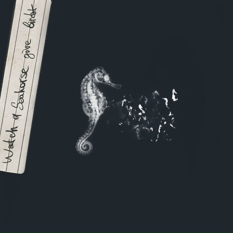 Дима Машкин | Киев