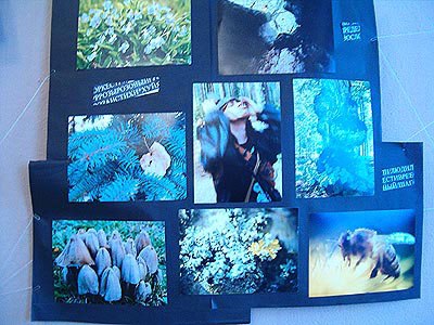 Сергей Степанов | Великий Новгород