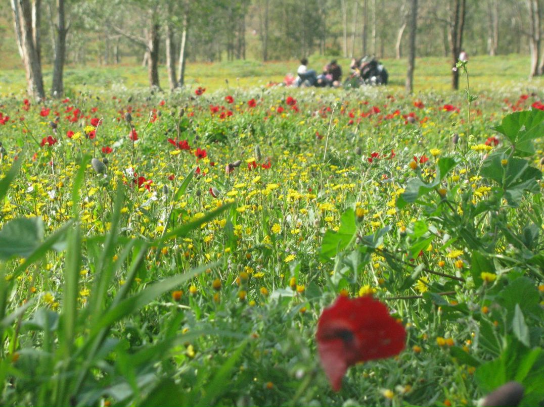 Дина Розенталь | Москва