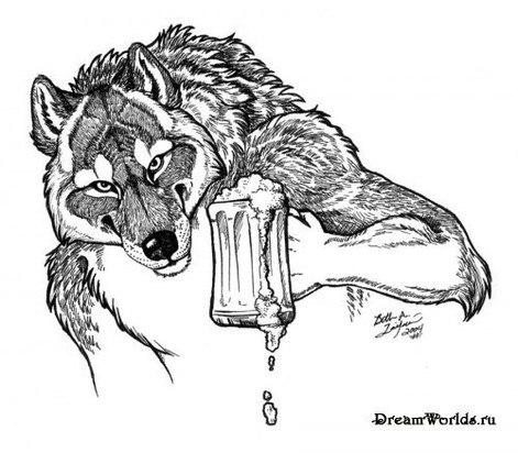 Денис Котов | Липецк