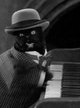 Михаил Беляев | Санкт-Петербург