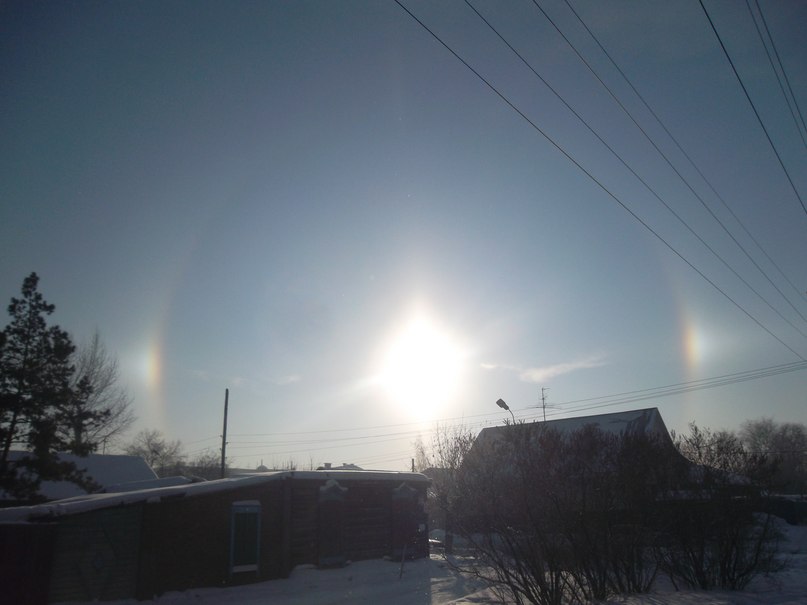 Виктор Пулик /alligator/ | Новосибирск