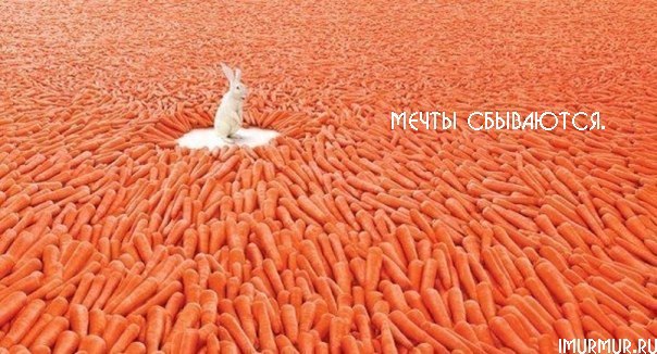 Светлана Ситникова | Волгоград