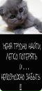 Фотография Екатерина Смирнова