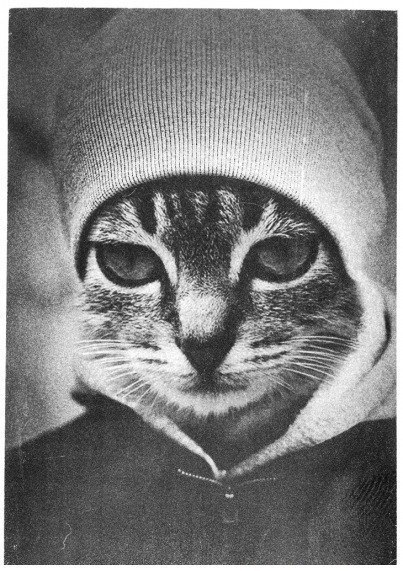 Артем Артемов | 