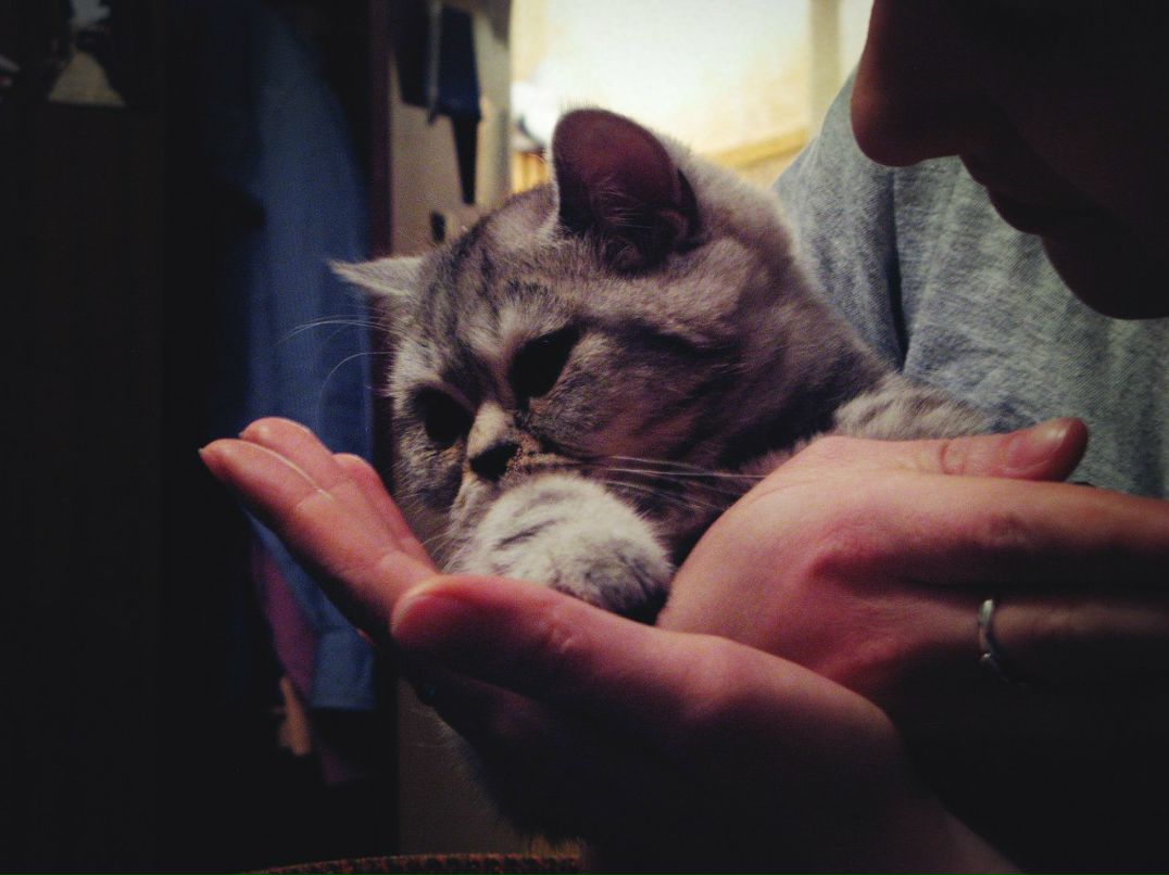 Alina Kabirova | Chengdu