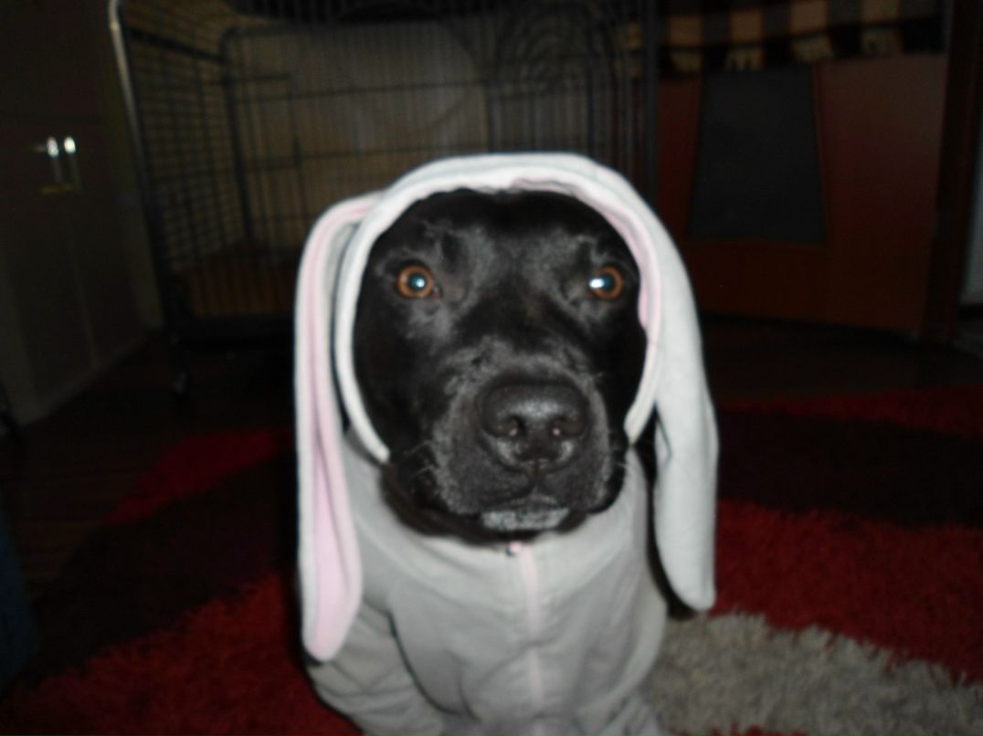 Дарья Матовецкая | 