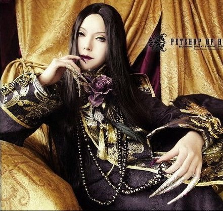 Анна Шафиева | Горловка