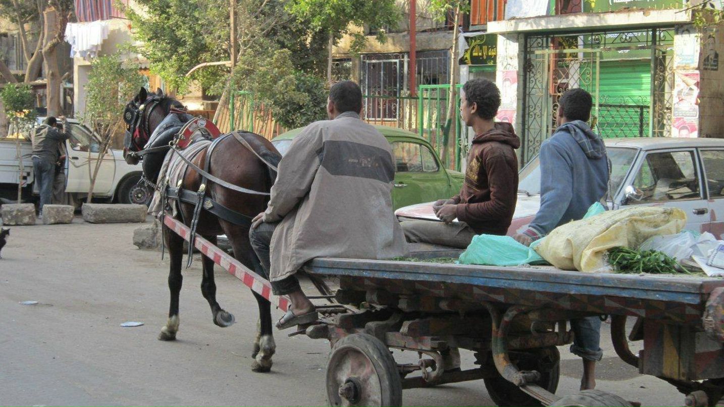 Юлия Гамаль | Taba