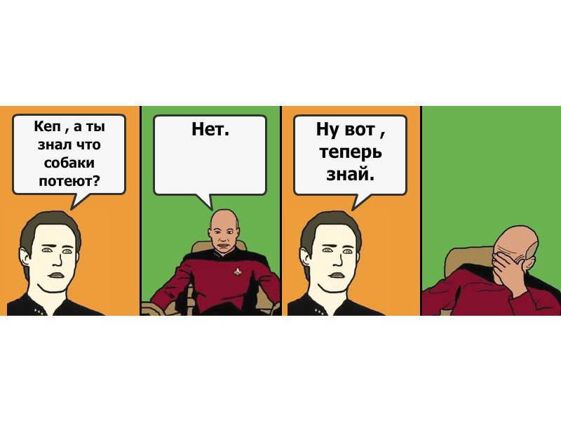 Никита Тамбовцев | Киев