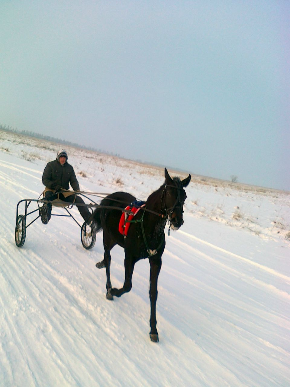 Александр Фирсов | 