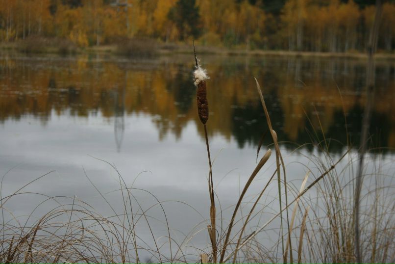 Julian Murasov | Москва