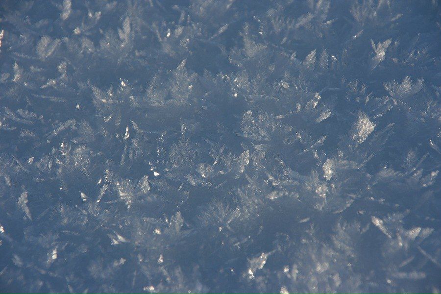 Дмитрий Лаушкин | Санкт-Петербург