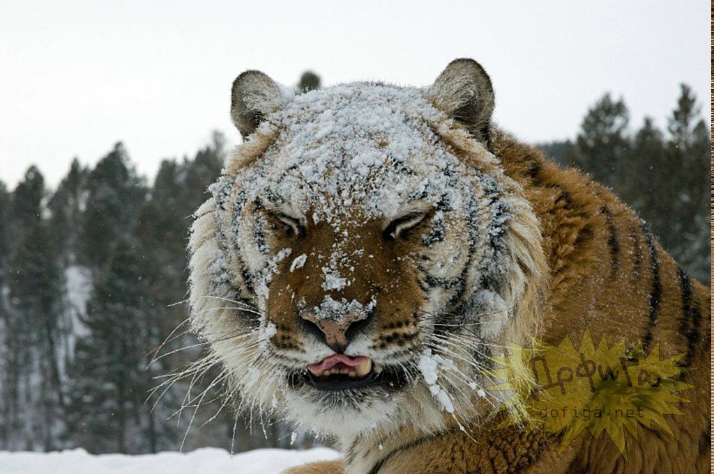 Андрей Заславский | Москва
