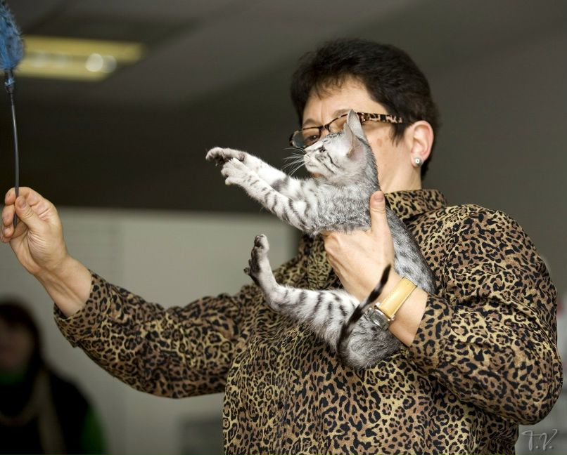 Полина Горелкина | Москва