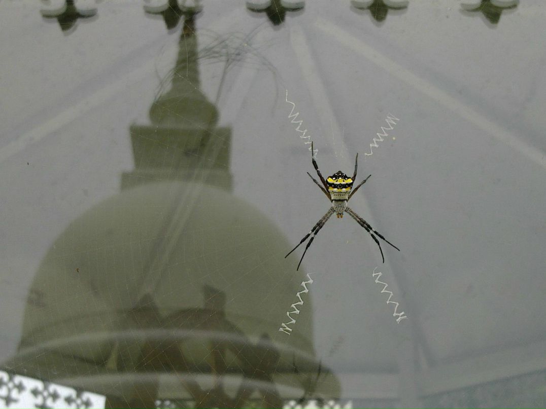 Ольга Андрушевич | Москва