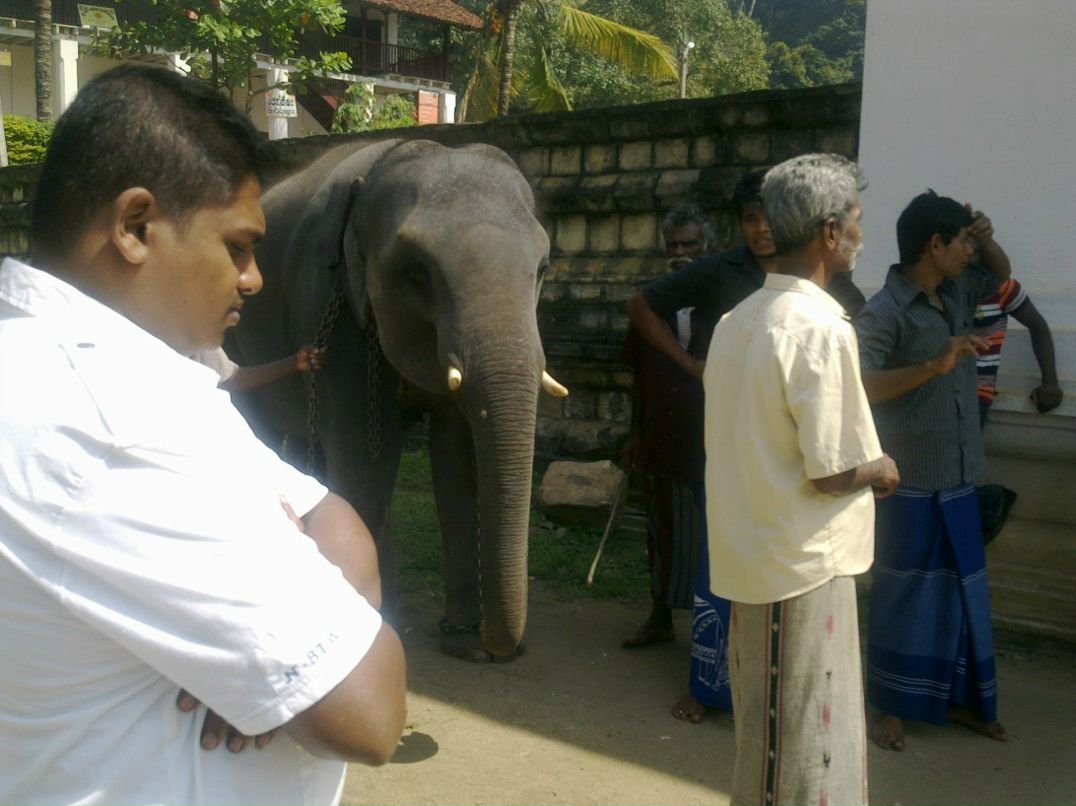Ольга Андрушевич | Москва