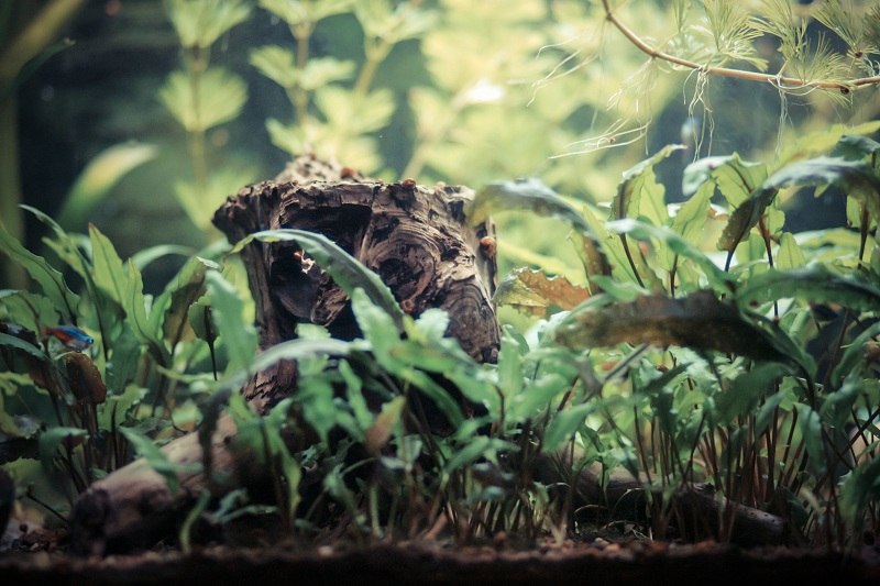 Константин Порошкин | Уфа