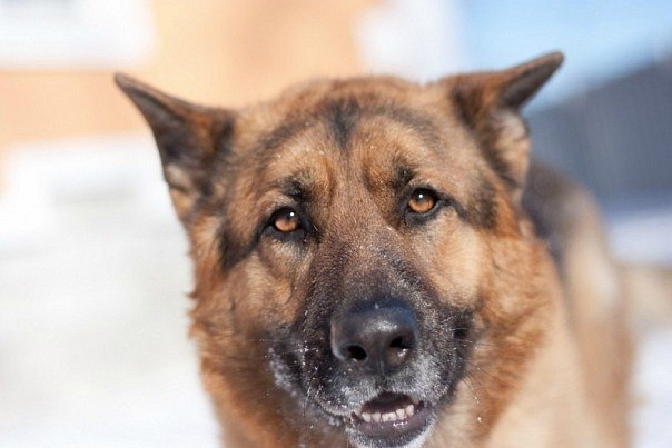 Виктория Гагарина | Нижний Новгород