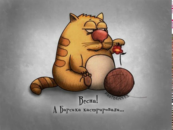 №123, Олеся Матвеюк, 37 лет, Львов №123, Олеся Матвеюк, 37 лет, Львов