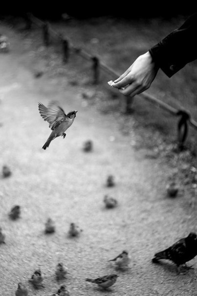 Никита Погребняк | 