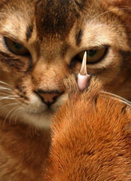 Николай Чернов | Заинск