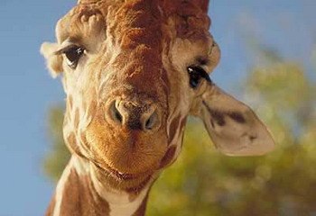 №21, Елена Митрофанова, Москва №21, Елена Митрофанова, Москва