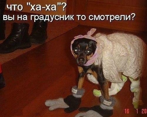 Арт Воля | Одесса
