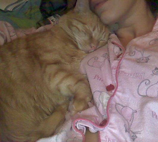 №92, Оля Мельник №92, Оля Мельник