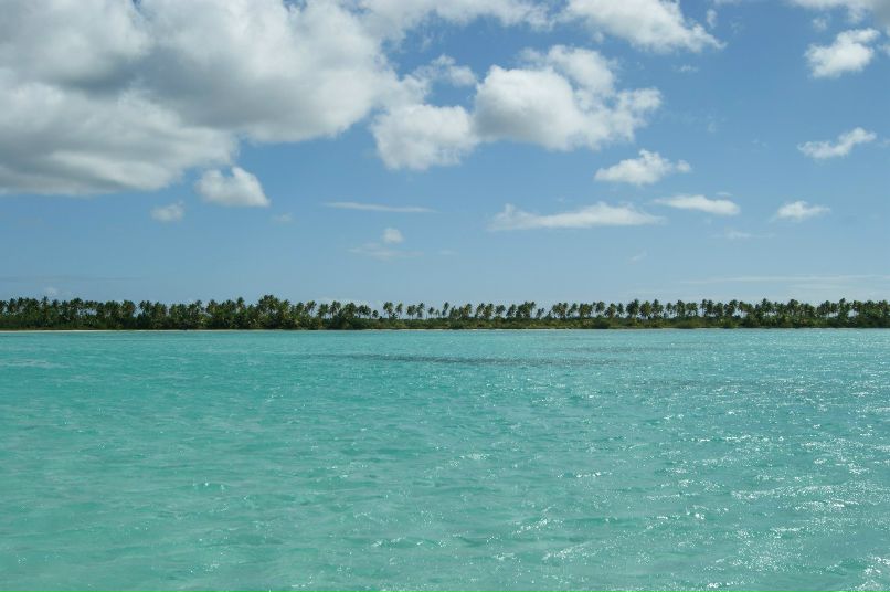 Артем Лобанов | Москва