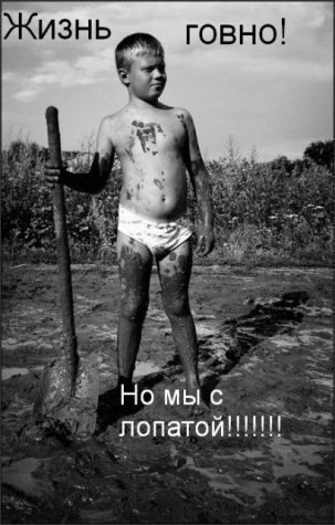 Андрей Тимофеев | 