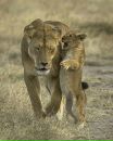 №7 Андрей Осиевский 03.04.1990: профиль, фото, статус - ВКонтакте
