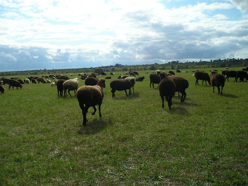Anton Obruchnikov | Жуковский