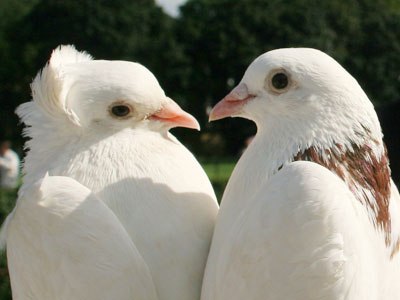 Радмила Мухаметшина (¯`'•¸•▪♥ ♥▪•¸•'´¯) | Нижнекамск