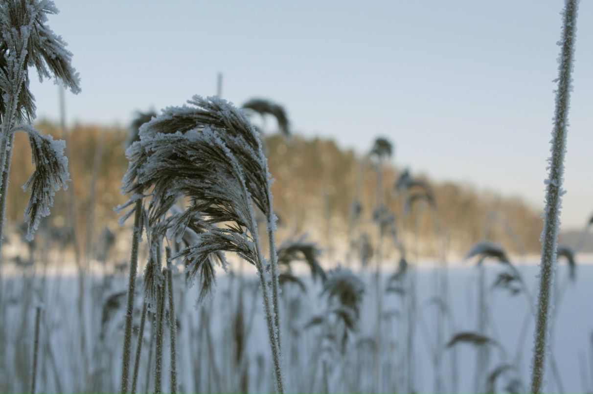 Алексей Захаров | Санкт-Петербург