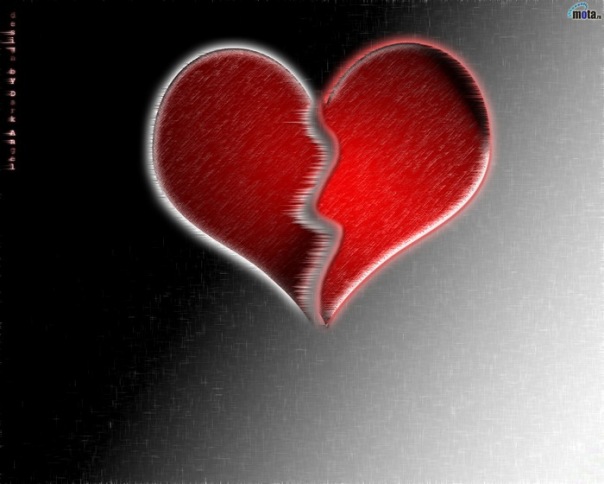 №17, Алёна Николаева №17, Алёна Николаева