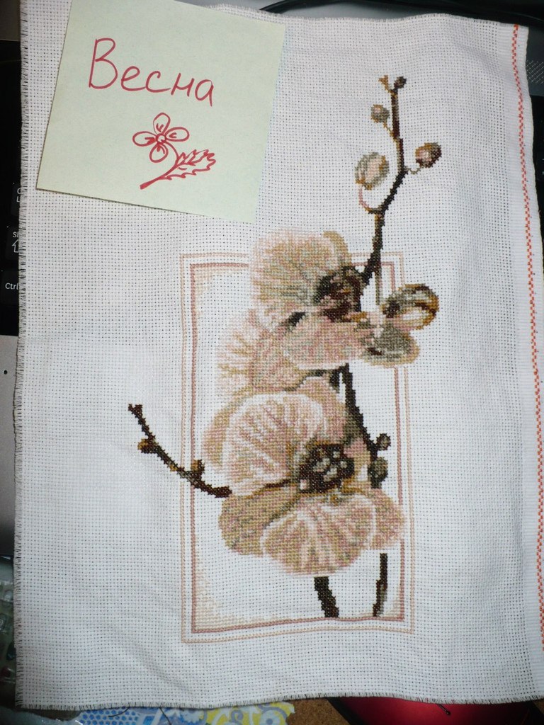 Юлия Сидорчук | Белая Церковь