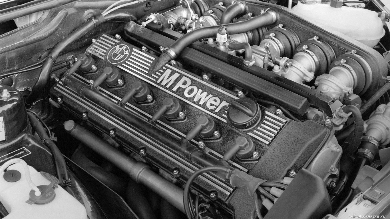 Arkadiy Paluch | Хмельницкий