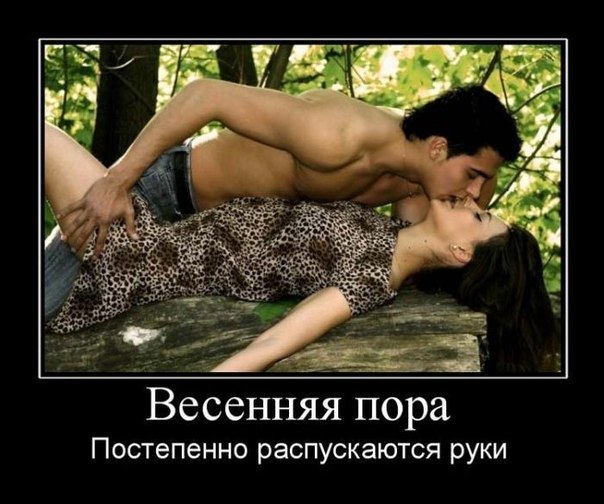 Николай Пономаренко фото профиля #38