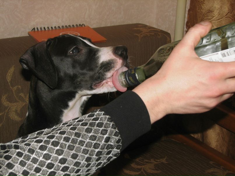 Лена Марченко ♥М@СЯ=)✿ ✿ ✿ | Киев