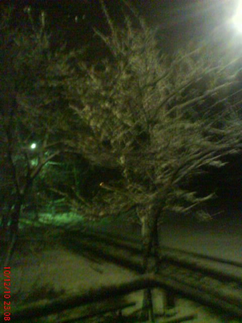 Макс Ельцов | Краматорск