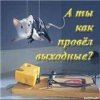 Аватар: Sjava-bodrjachkom@mail.ru Sjava-bodrjachkom@mail.ru