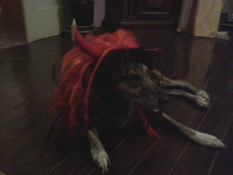 Алла Белая | Москва