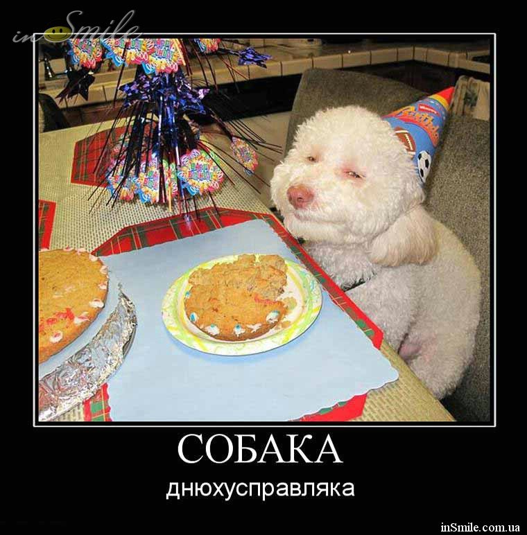 Андрей Лефутуренко | Киев